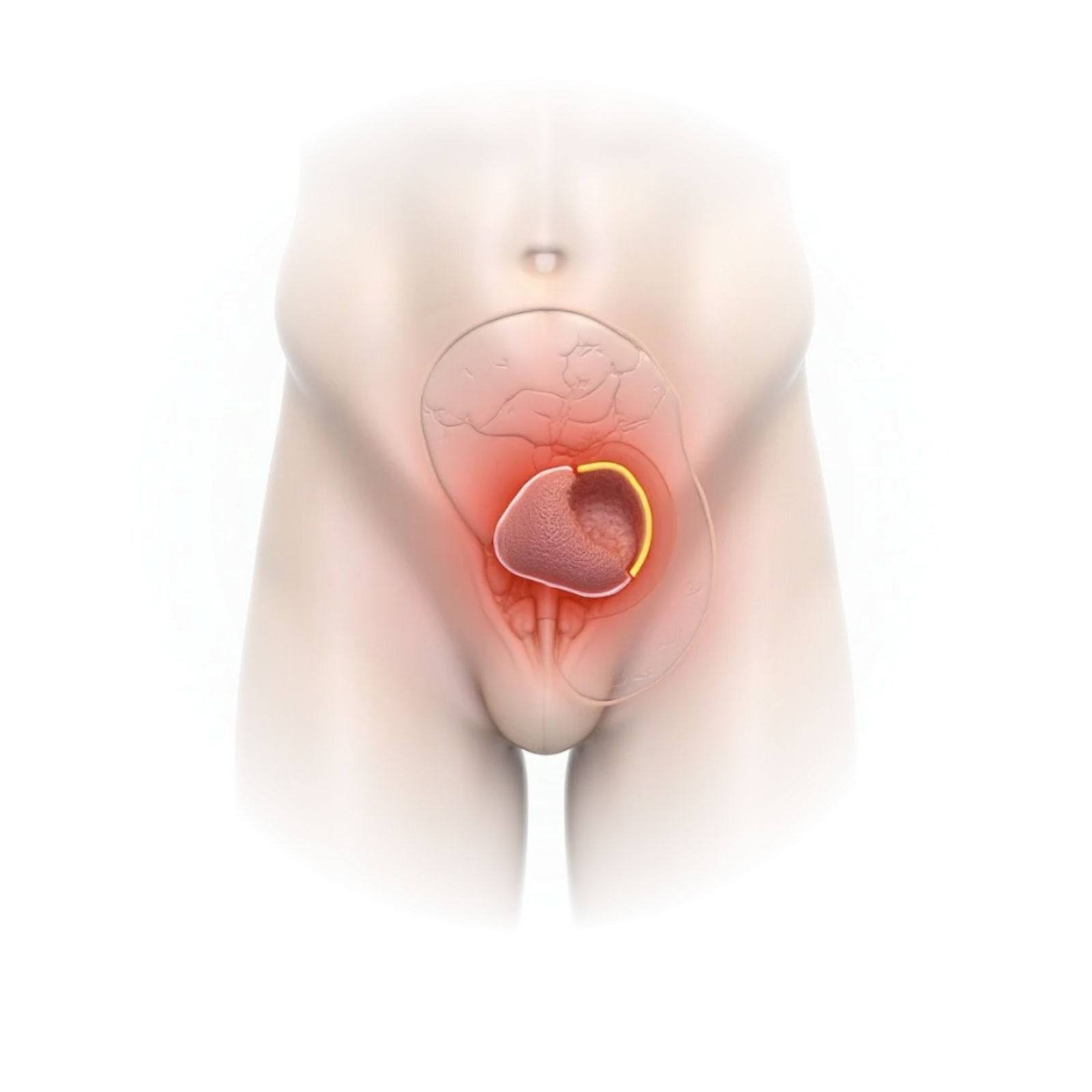 Untitled design - 2026-01-16T003714.549